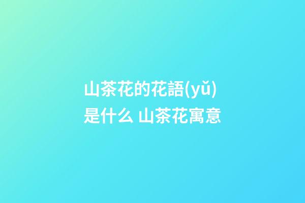山茶花的花語(yǔ)是什么 山茶花寓意